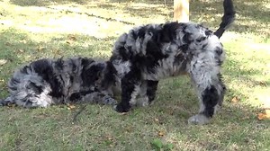 Buy 1080 v8 vs v9 Sale