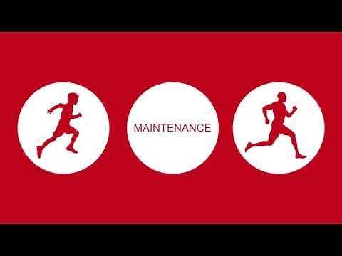 Fundamentals of Movement