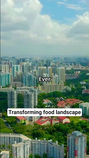 Singapore's Vertical Farming Revolution! #farming #waterconservation #indianfarmer #singapore