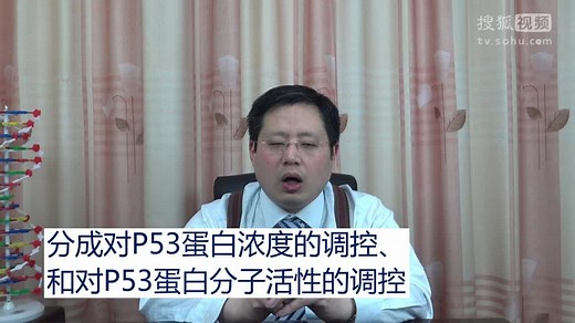 【陈巍学基因】视频37：P53基因与肿瘤