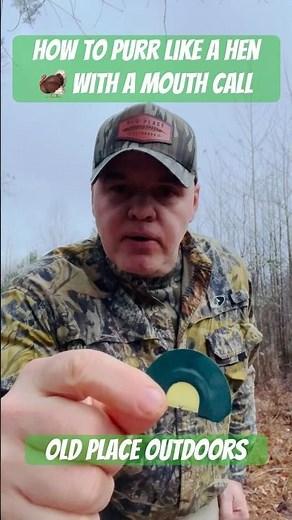 How to Purr with a Turkey Mouth Call - Simple Mouth Calling techniques #turkeyhunting #turkeycall