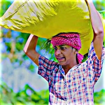 মডার্ন শালী | Modern Sali | Bangla Natok | Comedy Video | Riyaj & Tuhina | Palli Gram TV official