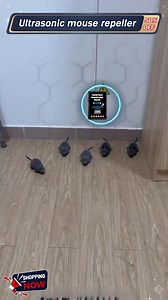 381 reactions · 66 shares |  Keep Rodents Out – No Mess, No Poison!...