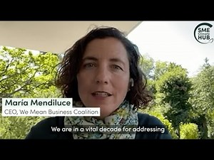 Introducing: the SME Climate Hub