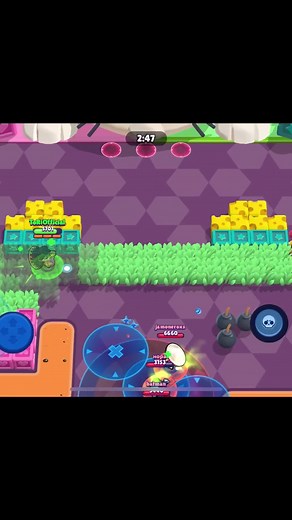 Un poco loco Poco na TikTok