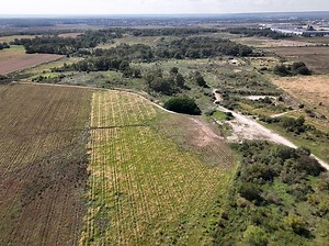 Création d’une forêt : suivi du projet de la forêt de Maubuisson