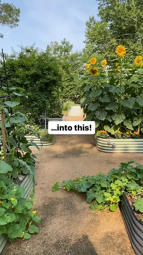 7.1K views · 24 reactions | Transform your kitchen scraps into garden...