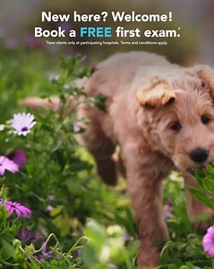 No exam fee, just TLC. Your pet’s first wellness exam is FREE.* 🐶 | VCA Animal Hospitals