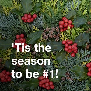 3 comments | Thank you for making us Appleton's #1 Realtor. You're hearing how quickly homes are being sold and that's true in our market too. If you're in the market, be sure to partner with someone who will guide and assist you through this process with care and knowledge. | Tiffany Holtz Real Estate Group | Facebook