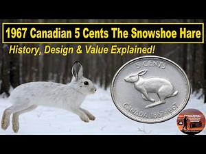 1967 Canada Rabbit Nickel 5 Cents Snowshoe Hare History, Design & Value Explained