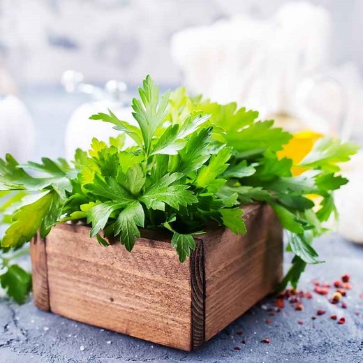 O que é cheiro verde? Confira toda a verdade! - A Cozinha da Vê