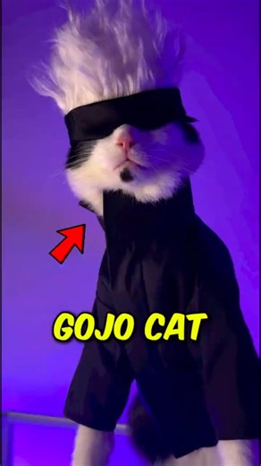 Cats in Anime Costumes! 😳 #1 Is Too Cute