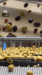Hate olives? These Australian growers think they can change your mind. Table olives are one of the most polarising foods. People either love them or hate them. But fruity-flavoured Australian olives are promising to win over the haters, thanks to an innovative method that makes them taste like citrus, passionfruit, and musk lollies. The world-first processing technique uses filtering systems and chemistry to cut water use, time and labour while removing bitterness. The team behind the patented m