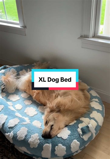 Fergus’ Favorite XL Dog Bed for Ultimate Comfort