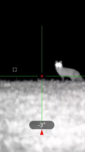 AGM SPECTRUM LRF 4K #foxhunting #hunting #pa #fyp #agm #nightvision #foxpro #x24 ‪@FOXPROINC‬