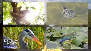 Nightly News: Kids Edition (Nov. 9, 2023)