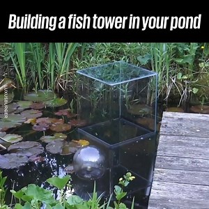 324K views · 1.6K shares | This inverted pond tower gives your fish a whole new look on the world  | UNILAD Tech | Facebook