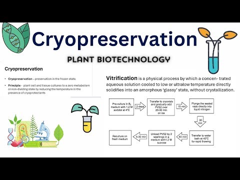 Cryopreservation in hindi | Vitrification | cryopreservation steps and mechanism plant germplasm |