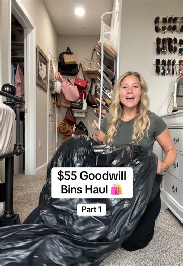 $55 Goodwill Bins Haul: Part 1
