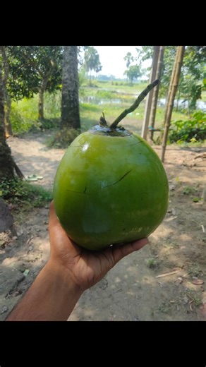 60 reactions | Abdul Alim on Reels | Facebook