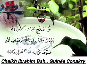 Cheikh ibrahim Bah Guinée Conakry ❤️❤️❤️ | Ahmad Barry