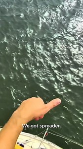 #adventure #shortreels #sailing #sailing #boatlife | Sam Holmes Sailing