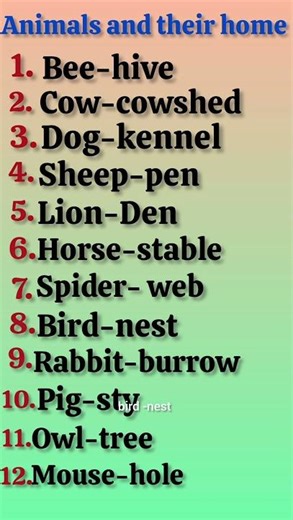 Animals and their home| part2 |animals Home| ‪@ShauryaVirajWorld07‬