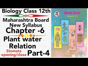 ch6 Plant water relation class 12 biology science HSC board new syllabus stomata | transpiration