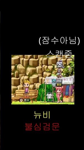 [윈드슬레이어] 뉴비 판독기/ windslayer #게임 #메이플