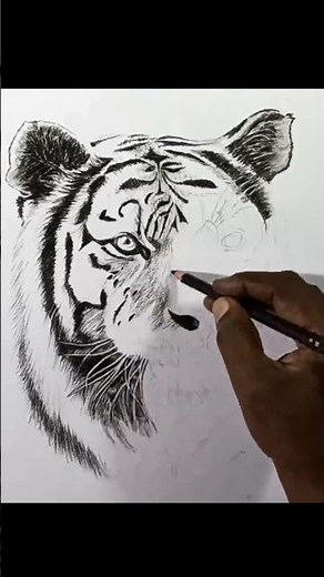 How to draw a Tiger Head //Charcoal Drawing for Beginners//Puthaiyal//Shorts #art #drawing #shorts