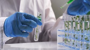 Examples of herbs in glass bottles for drug and cosmetics extraction with stand flask holder