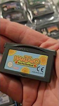 Starting up Hamtaro Ham-ham heartbreak on the Gameboy Advance #gba #gameboy #hamtaro #gameboyadvance
