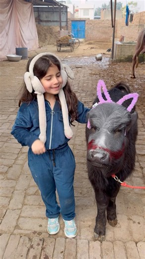 How did Yashvi's makeup look?