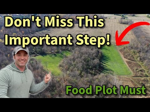 Essential Food Plot Prep: Herbicide Application Tips
