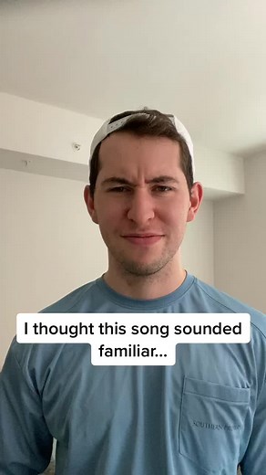 Now you'll never unhear it #tiktoksongs #mashup #workdistractions