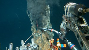 UD research makes startling deep-sea discovery
