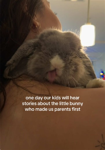 He has no idea he's part of my favorite years of life 🥹🧡🐰 #archie #bunnylove #bythealames