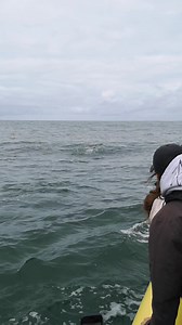 Gower Coast Adventures on Reels