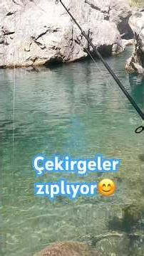 Çekirge çok zıpladı😊 #browntrout #wildtrout