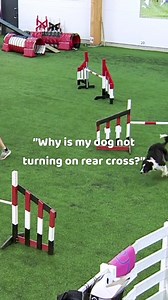 Does your dog have trouble with Rear Crosses? For your dog to know about the turn on time, you should ideally cross the dog’s line of approach before take off. Get hundreds more tips like this with OneMind Dogs Agility Premium! #oneminddogs #dogagility #agilitydog #agilitytraining #agilitydogs #agilityhandling | OneMind Dogs