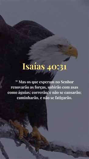 🦅Os que esperam no Senhor renovam as forças. Isaías 40:31🙌🏼📖 #aguia #bíblia #bomdia | Fé Perfeita