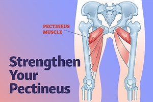 Strengthen Your Adductor Muscles and Pectineus with Hip Exercises