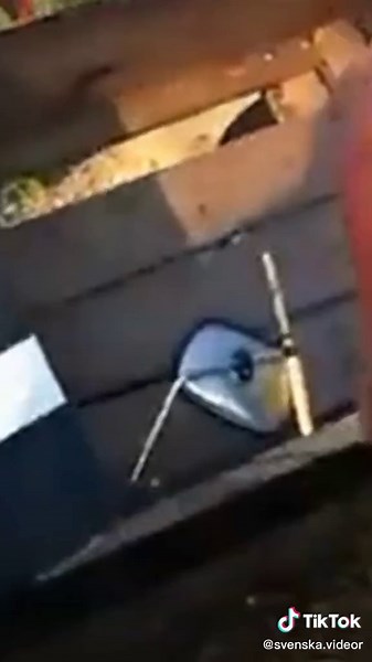 Hjälp mig ut jag fick bilen i hövve #fyp #sverige