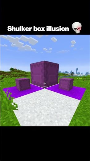 Minecraft Shulker Box Illusion Moment
