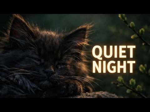 Peaceful Evening Maine Coons 🌅 | 30 Minutes of Relaxing Music & Nature
