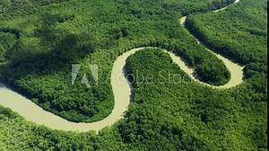 River meanders in the middle of mangroves Costa Rica aerial sunny day natural water curvy river Stock Video