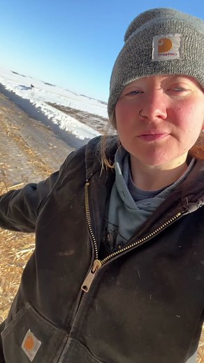 Signs of Cows Close to Calving