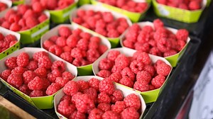 15 Best Fruits for Diabetics: Smart Choices for Blood Sugar Control