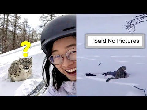 Woman Savagely Mauled By Snow Leopard After Taking Selfie