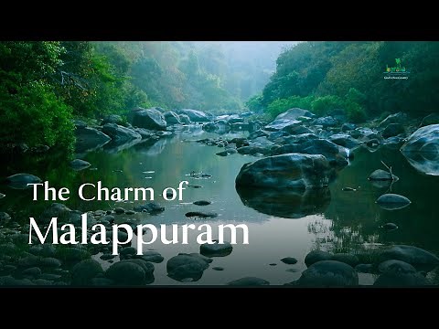 The Best Things to Do in Malappuram | Kerala Tourism #DreamDestinations